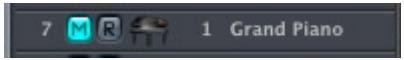 APPLE LOGIC EXPRESS 7 - Muting Tracks - 1