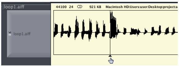 APPLE LOGIC EXPRESS 7 - The Region Anchor - 1