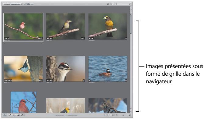 APPLE APERTURE 2 - Concepts de base essentiels - 2