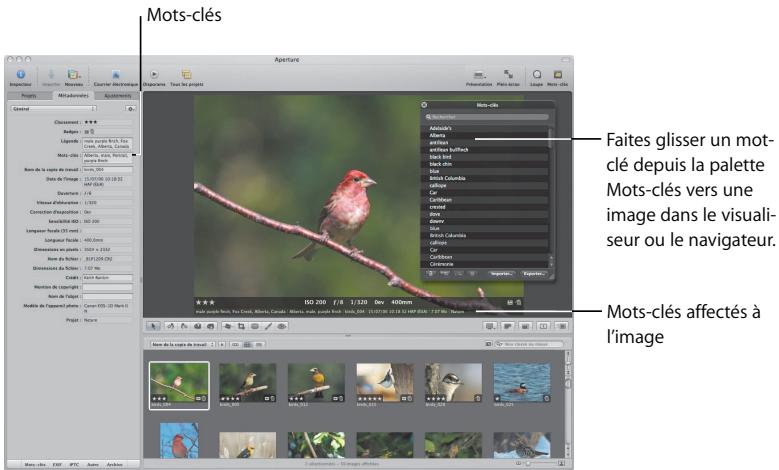 APPLE APERTURE 2 - Pour sélectionner et affecter des mots-clés : - 1