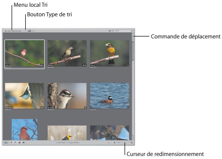 APPLE APERTURE 2 - Concepts de base essentiels - 3