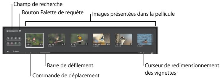 APPLE APERTURE 2 - Au préalable - 1