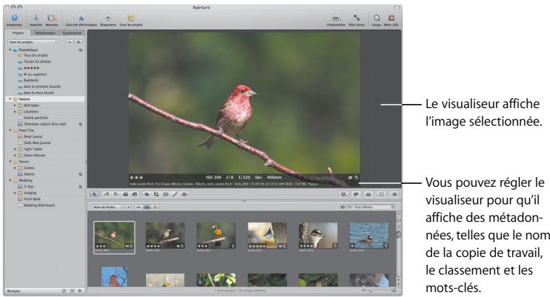 APPLE APERTURE 2 - Concepts de base essentiels - 2