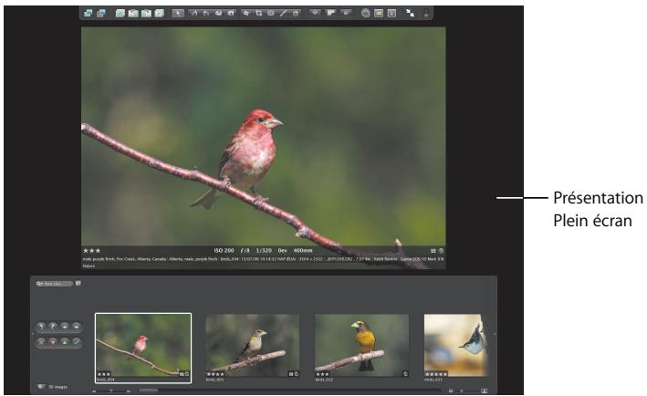 APPLE APERTURE 2 - Ajustement d'images en présentation plein écran - 1