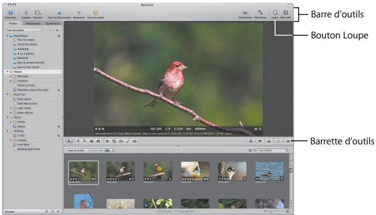 APPLE APERTURE 2 - Concepts de base essentiels - 3