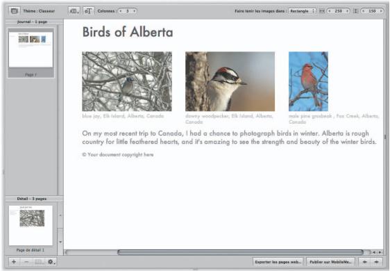 APPLE APERTURE 2 - Pour ouvrir la zone de dialogue préréglages du diaporama : - 3