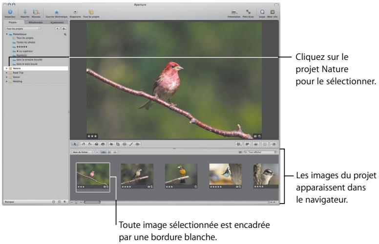 APPLE APERTURE 2 - Au préalable - 1