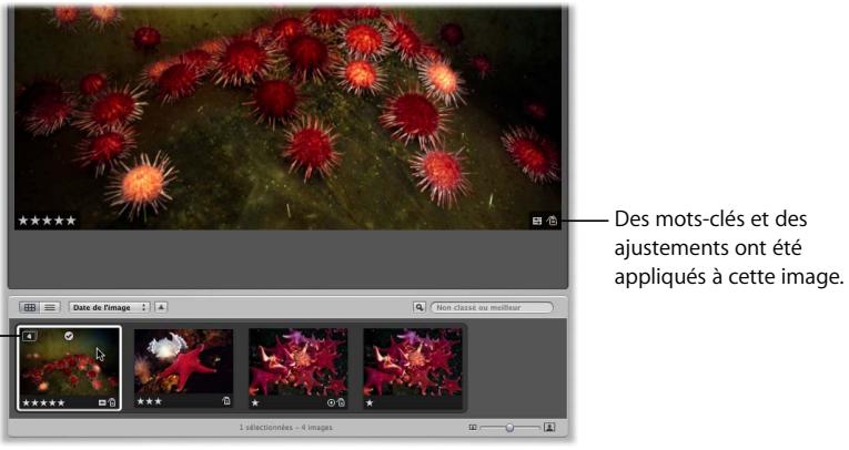 APPLE APERTURE 2.1.1 - Affichage des incrustations de carte d'identification dans aperture - 1