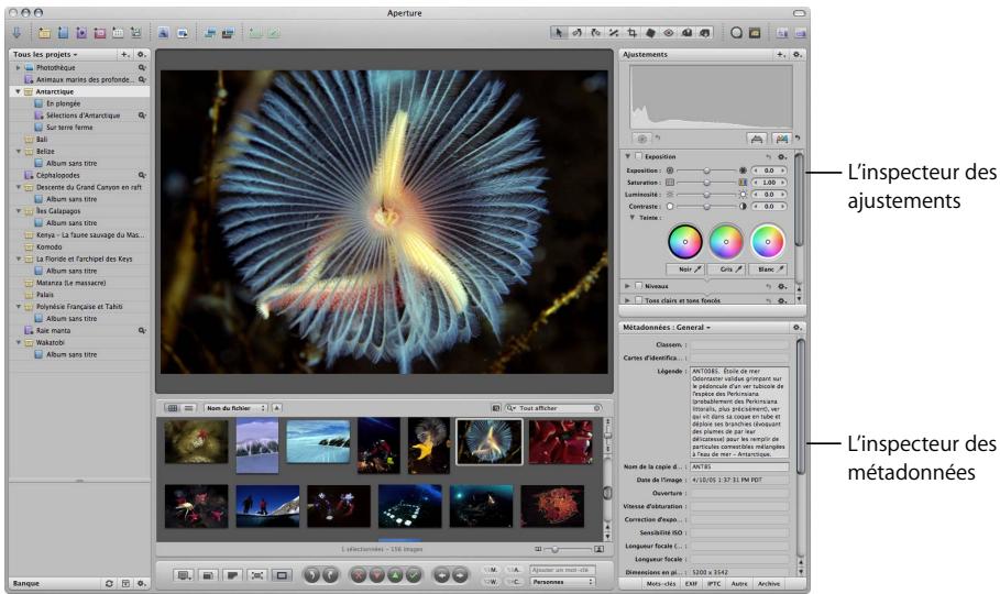 APPLE APERTURE 2.1.1 - Utilisation des inspecteurs - 1