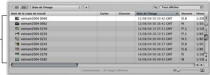 APPLE APERTURE 2.1.1 - Vue d'ensemble du navigateur - 2