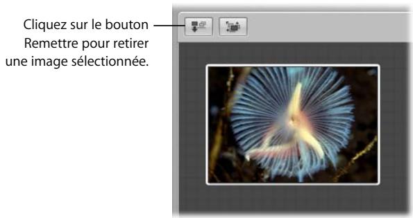 APPLE APERTURE 2.1.1 - Pour retirer une image de la table lumineuse : - 1