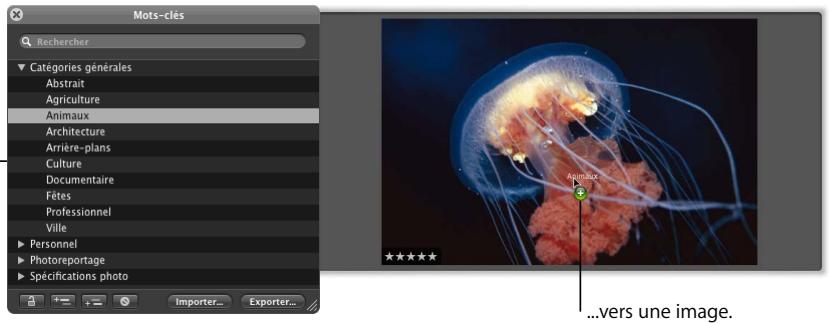 APPLE APERTURE 2.1.1 - Pour afferter un mot-clé à l'aide de la palette de mots-clés : - 1