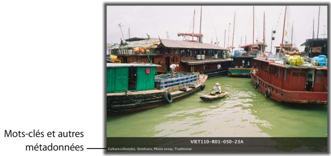 APPLE APERTURE 2.1.1 - Attribution de mots-clés aux images - 1
