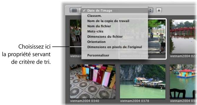 APPLE APERTURE 2.1.1 - Tri des images en présentation en grille - 1