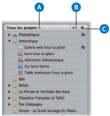 APPLE APERTURE 2.1.1 - Panneau projets - 1