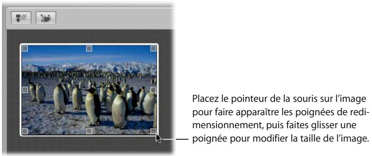 APPLE APERTURE 2.1.1 - Déplacement et redimensionnement d'images sur la table lumineuse - 1