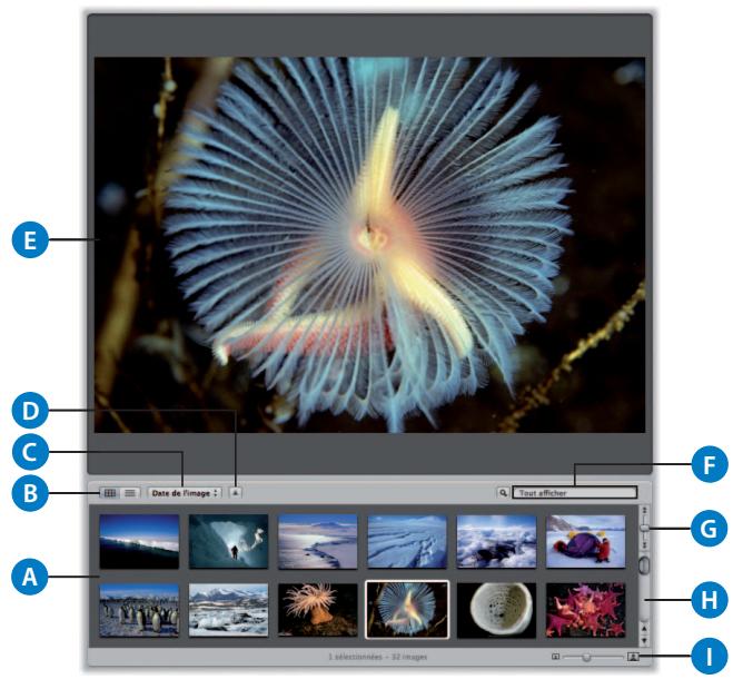 APPLE APERTURE 2.1.1 - Navigateur et visualiseur - 1