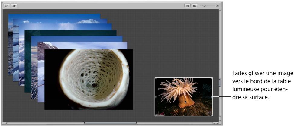 APPLE APERTURE 2.1.1 - Pour faire un zoom avant ou arrêter sur la table lumineuse, procédez de l'une des manières suivantes : - 2