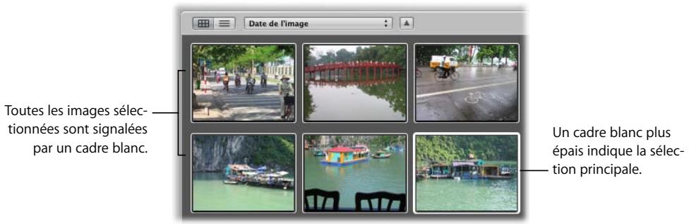 APPLE APERTURE 2.1.1 - Navigation et sélection des images - 1
