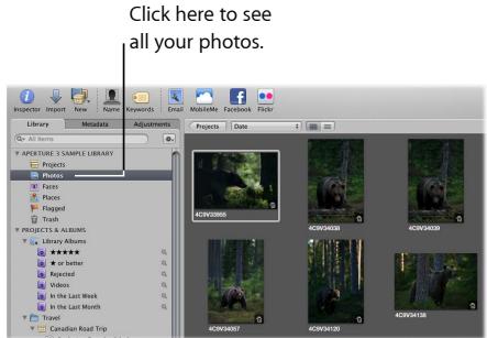 APPLE APERTURE 3 - Review all your photos - 1