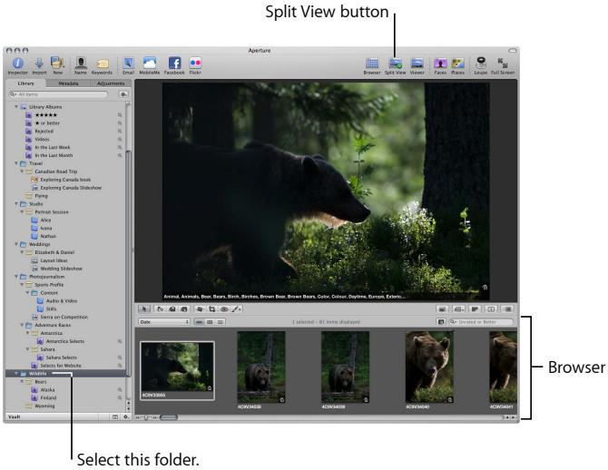 APPLE APERTURE 3 - Select a folder - 1
