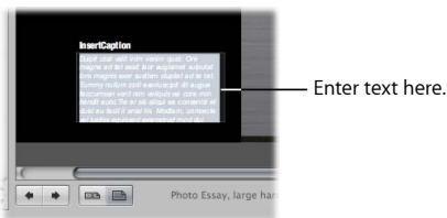 APPLE APERTURE 3 - Add text - 2