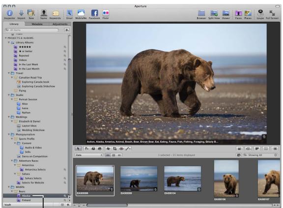 APPLE APERTURE 3 - Select an album - 1