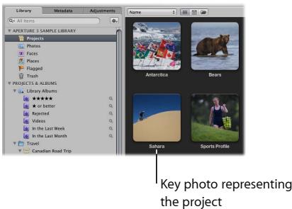 APPLE APERTURE 3 - Review projects - 1