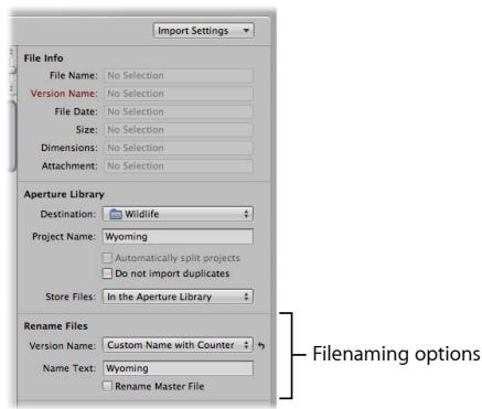 APPLE APERTURE 3 - Name images when you import them - 2