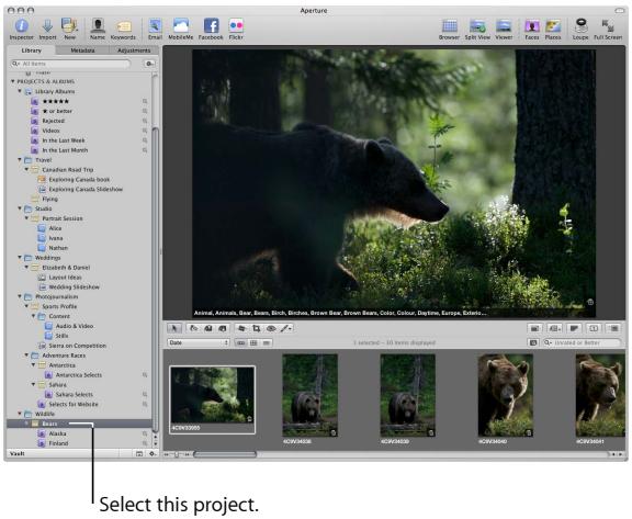 APPLE APERTURE 3 - Select a project - 1