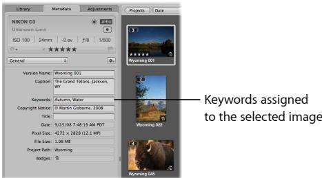 APPLE APERTURE 3 - View keywords assigned to an image - 1