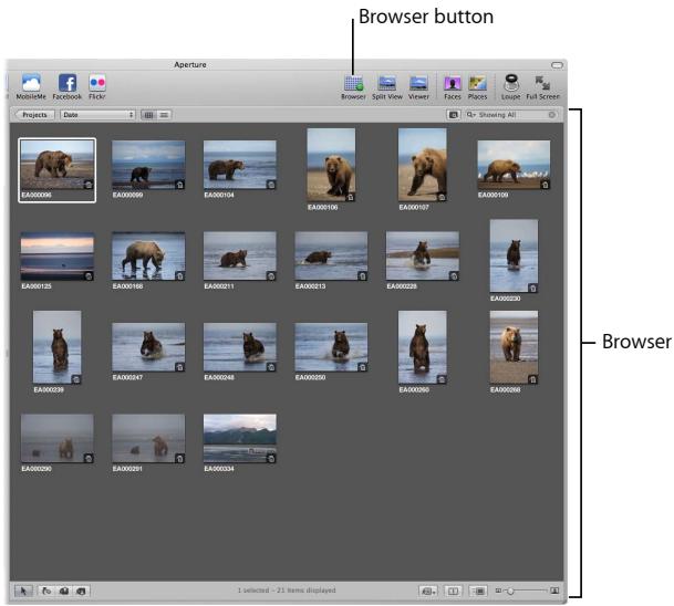 APPLE APERTURE 3 - Change to the Browser layout - 1