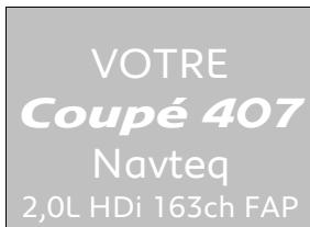 PEUGEOT 407 COUPE - Choisissez votre financement - 1