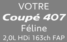 PEUGEOT 407 COUPE - Choisissez votre financement - 3