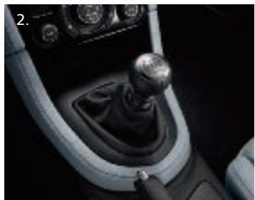 PEUGEOT RCZ - OPTION CUIR Integral frisson - 3