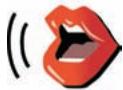 TOMTOM ONE VERSION 3 - Selecting a voice - 1