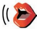 TOMTOM ONE VERSION 3 - Change voice - 1