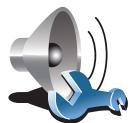 TOMTOM 920T - Speaker preferences - 1