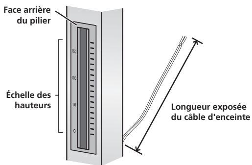 PIONEER CP-LX70 - Ajustez la longueur du câble d'enceinte. - 1