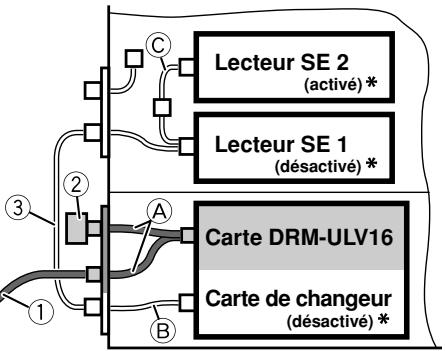 PIONEER DRM-ULV16 - Hôte - 1