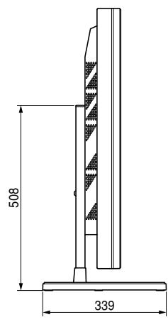 PIONEER PDK-TS01 - Diagram van dimensie - 2