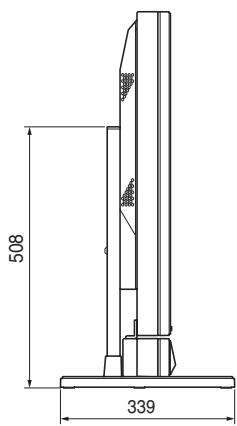 PIONEER PDK-TS01 - Beeldscherm van 43" met aan de onderzijde van het scherm gemonteerde, afzonderlijk leverbare luidsprekers - 2