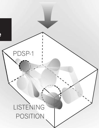 PIONEER PDSP-1 - Audio beam image - 4