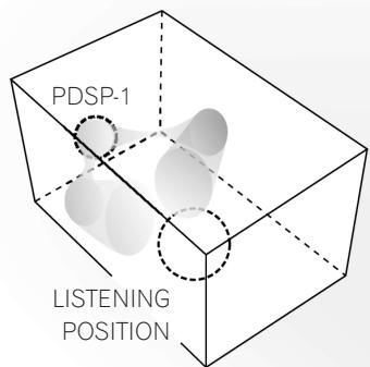 PIONEER PDSP-1 - Audio beam image - 1