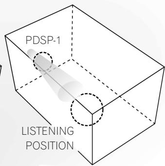 PIONEER PDSP-1 - Audio beam image - 3