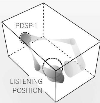 PIONEER PDSP-1 - Audio beam image - 2