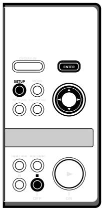 PIONEER PDV-LC20 - Using the Setup Navigator - 2