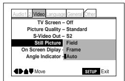 PIONEER PDV-LC20 - Still Picture Expert - 1