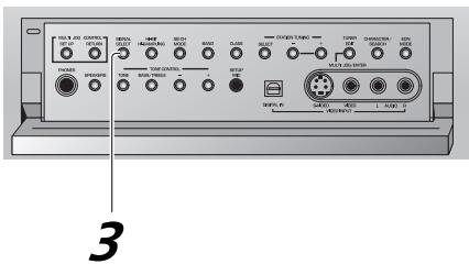 PIONEER VSX-AX3-K - Selecting the Input Signal - 3