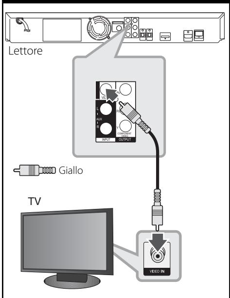 PIONEER BCS-303 - Connessione video - 1